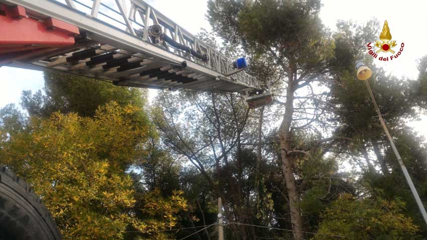 Numerosi interventi dei vigili del fuoco per il forte vento che ha colpito la provincia di Ancona